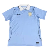 01b9b251a59e7d06a27b4f36269d95e9-1-6-1 2026 Uruguay World cup Home Football jersey Fan Edition