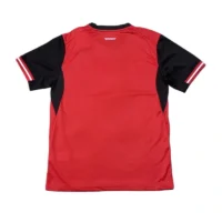 2026 Austria World cup Home Football jersey Fan version