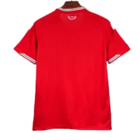 2026 Wales World Cup Home Football jersey Fan edition