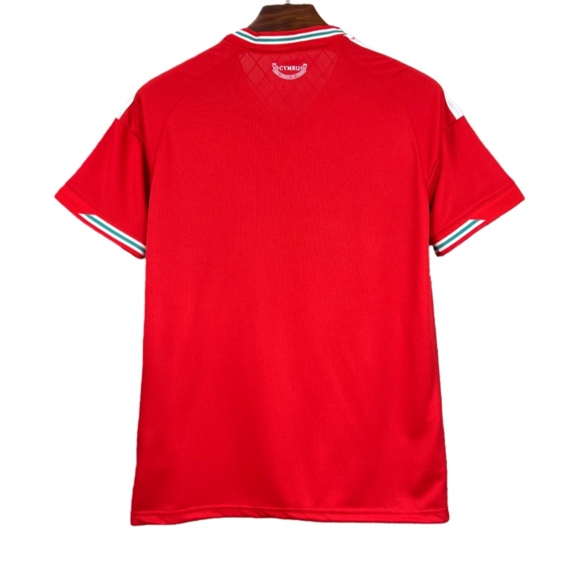 2026 Wales World Cup Home Football jersey Fan edition