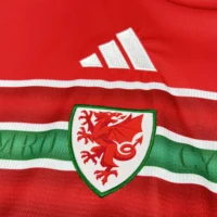 2026 Wales World Cup Home Football jersey Fan edition