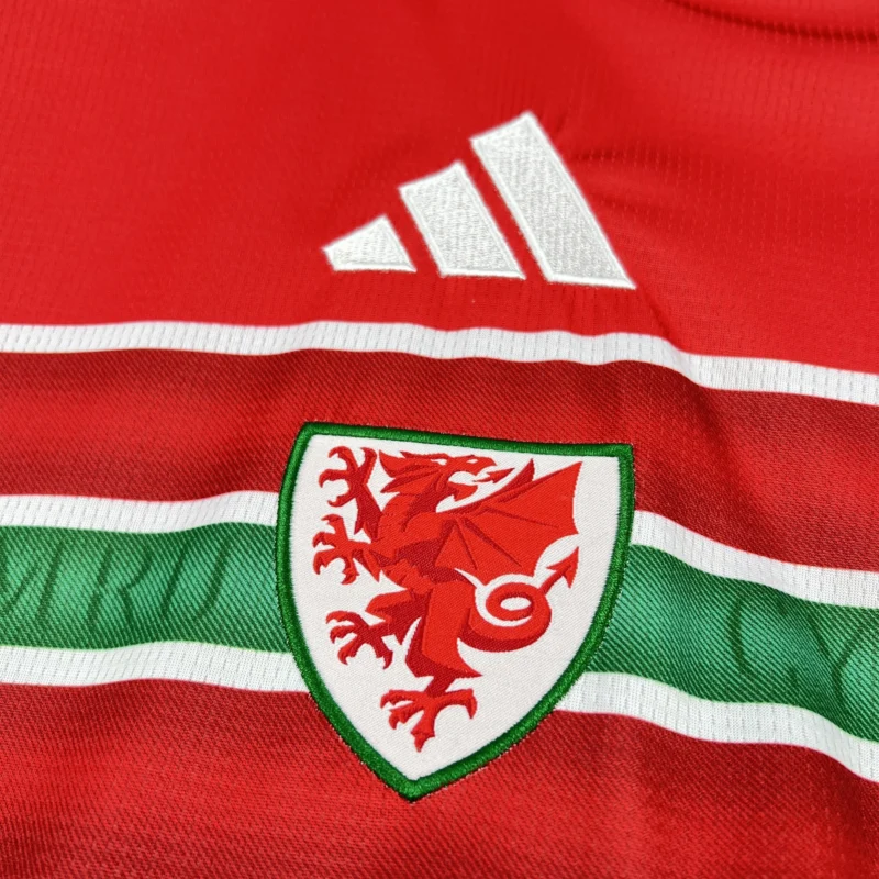 2026 Wales World Cup Home Football jersey Fan edition