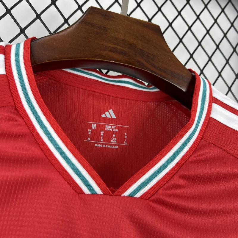 2026 Wales World Cup Home Football jersey Fan edition