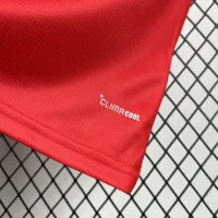 2026 Wales World Cup Home Football jersey Fan edition