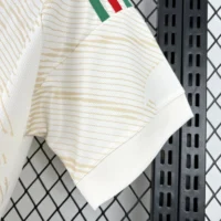 318-8-7-6 2026 Wales World Cup Away Football jersey Fan edition