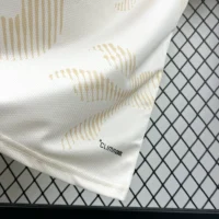 318-8-7-7 2026 Wales World Cup Away Football jersey Fan edition