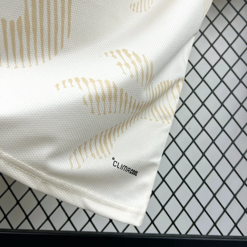 318-8-7-7 2026 Wales World Cup Away Football jersey Fan edition