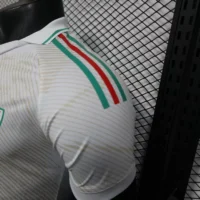 318e1e9-9-5 2026 Wales World Cup Away Football jersey Player edition