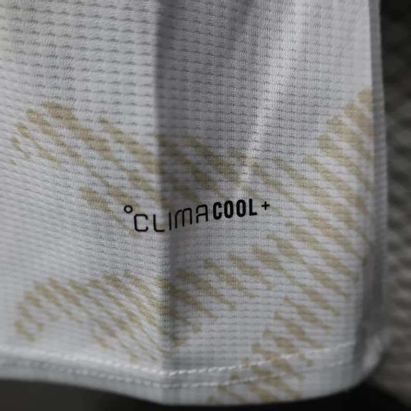 318e1e9-9-8 2026 Wales World Cup Away Football jersey Player edition