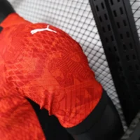 2025-26 Players Edition Egypt Home Red Football Jersey