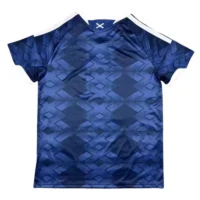 2026 Scotland World cup Home Soccer jersey Fan version