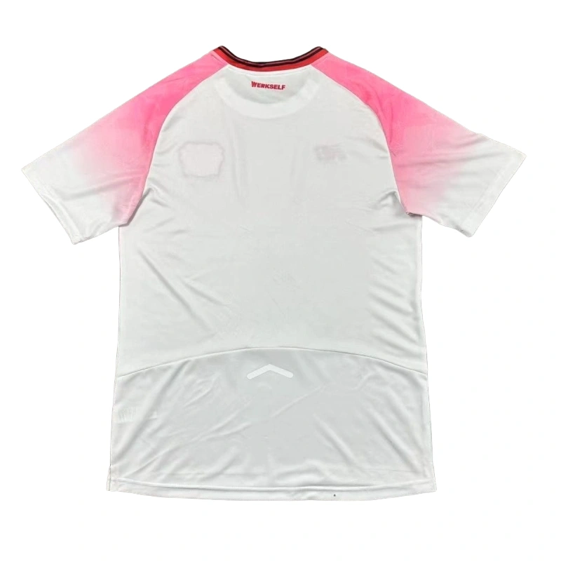 Bayer 04 Leverkusen Away Soccer Jersey 2025-26 Fan Version