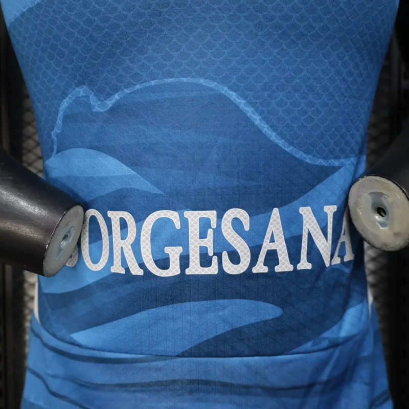 c604b2a0b1 Napoli Blue Home Football Shirt 2025/2026 (Player Version)