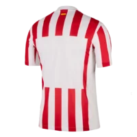 c72076edf7 Atletico Madrid Soccer Jersey Home Custom Shirt 2025-26